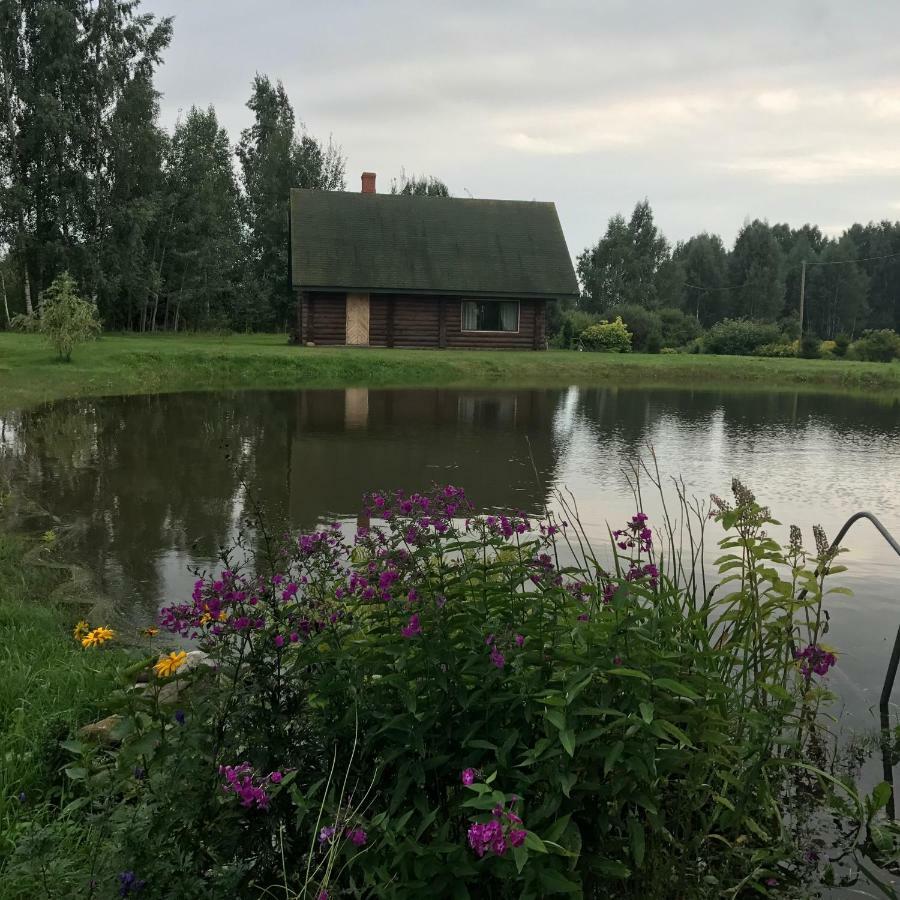 Villa Melderi Rēzekne Exterior foto